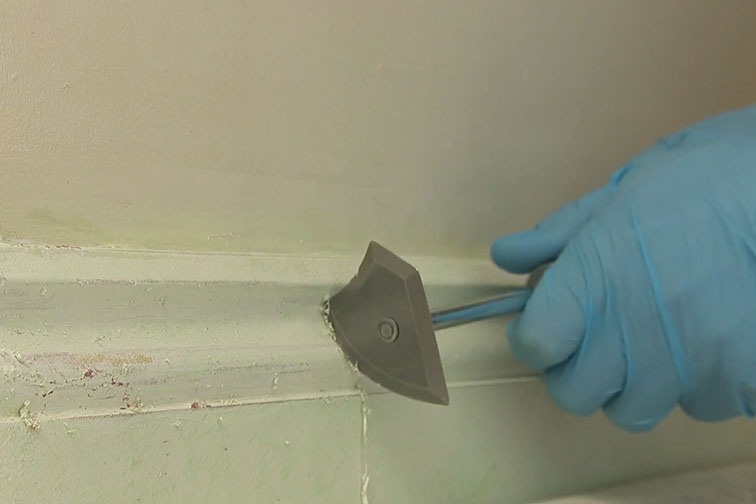 After applying paint stripper use the combination shave hook to remove the top layer or paint.